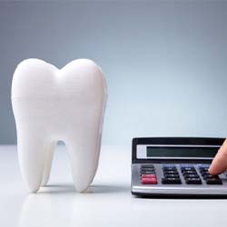 Dentist touching a calculator next to model tooth